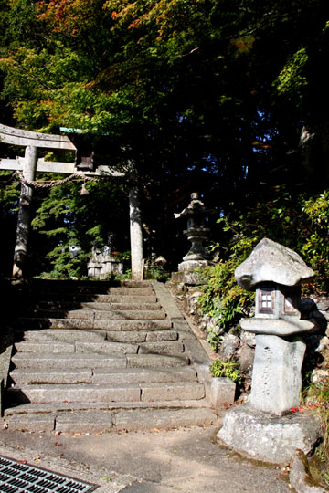 山里越畑 樒原_e0048413_2125251.jpg