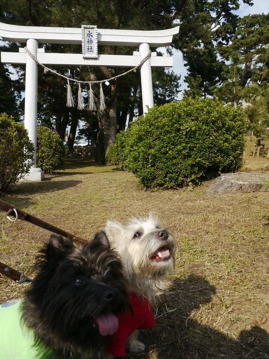 c0039114_1122444.jpg