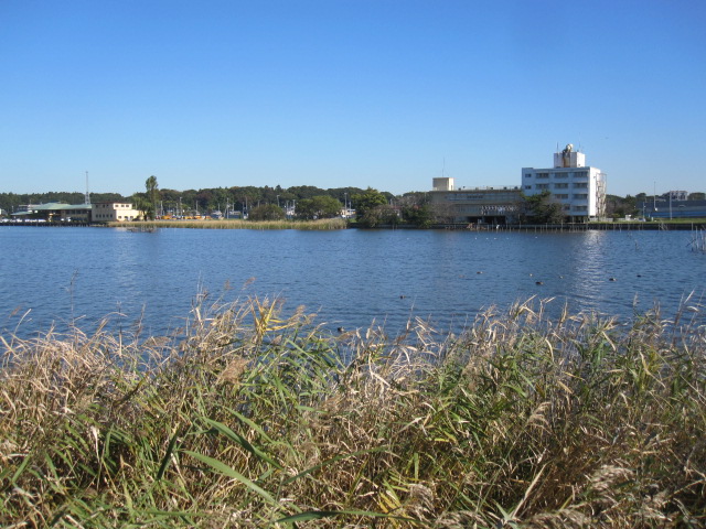 c0200314_19144775.jpg