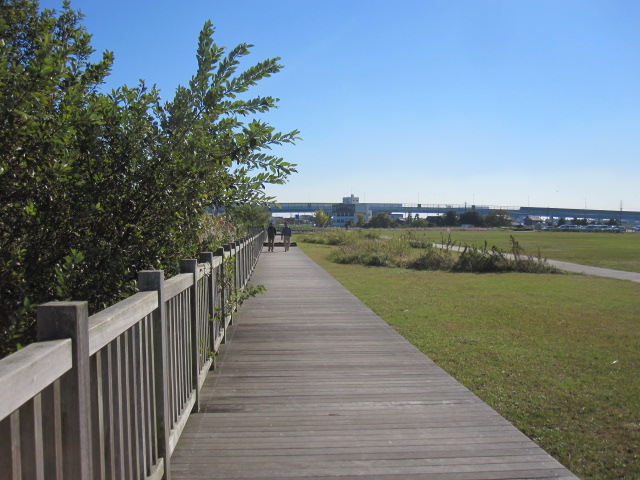c0200314_19165929.jpg