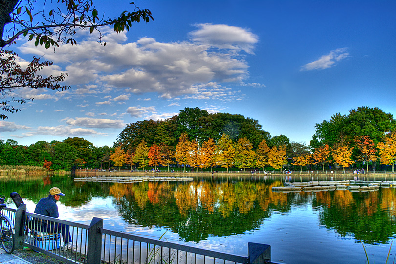 浮間公園・紅葉_a0160618_8371922.jpg