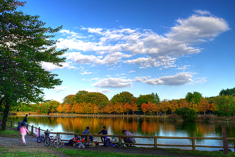 浮間公園・紅葉_a0160618_8372743.jpg