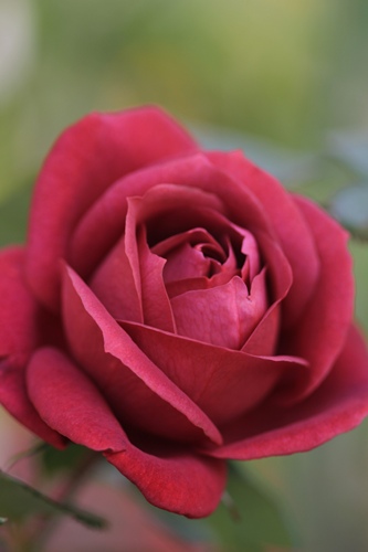a0067720_20533044.jpg