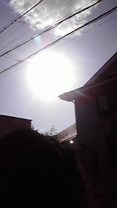 d0110022_20262590.jpg