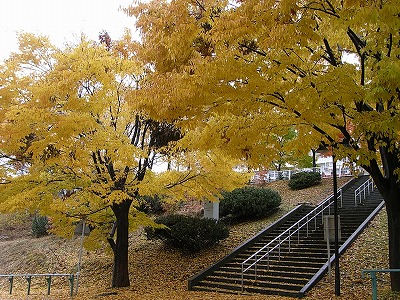 b0144125_20434598.jpg