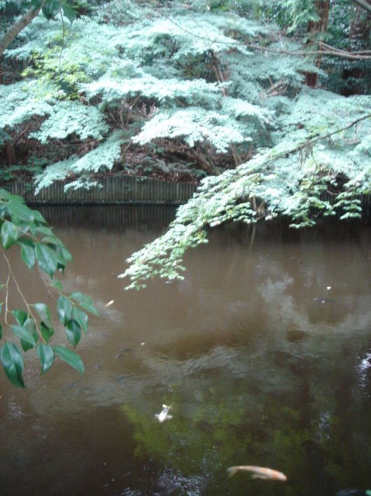 c0138928_00557.jpg
