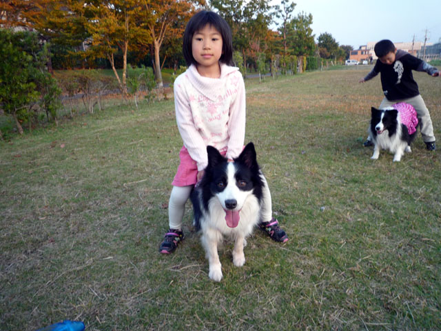 d0059230_847043.jpg