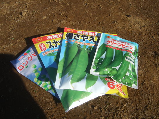 強風の被害....たまねぎマルチ!_b0137932_19122962.jpg