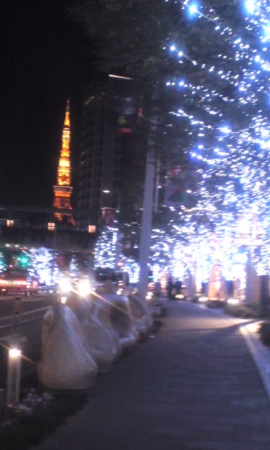 イルミネーション_c0099133_22595782.jpg