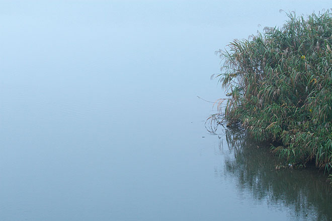 c0067040_22404479.jpg