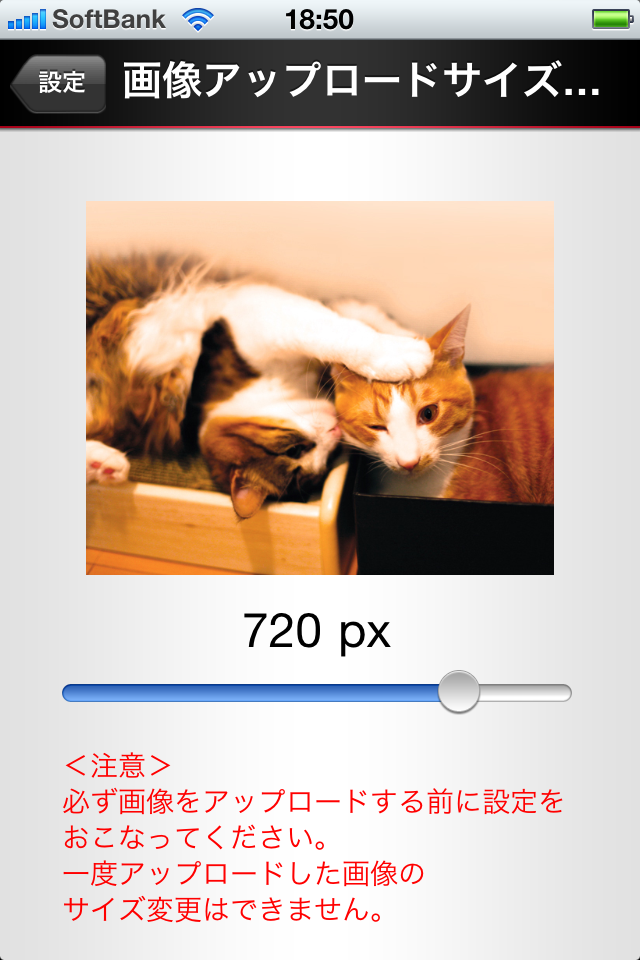 エキサイトブログ_b0170652_23265313.jpg