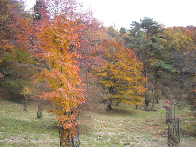 d0116059_13262024.jpg