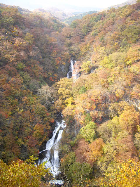 d0116059_13295281.jpg