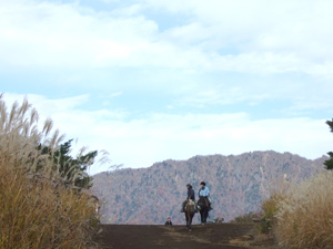 富士五湖で紅葉狩り_c0011862_9194444.jpg