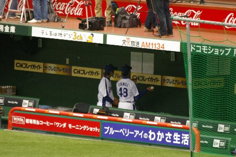 2010　日本プロ野球　12球団合同トライアウト_f0088864_1558405.jpg