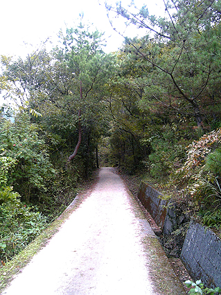 c0150269_12475635.jpg