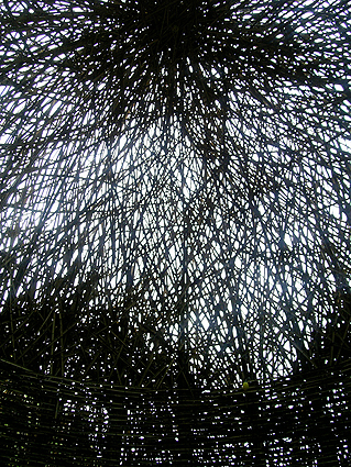 c0150269_1247924.jpg