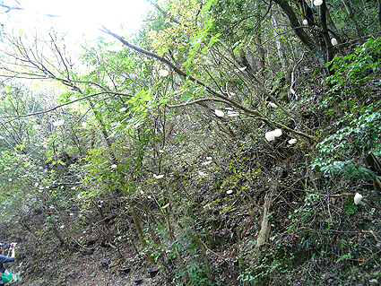 c0150269_1248759.jpg