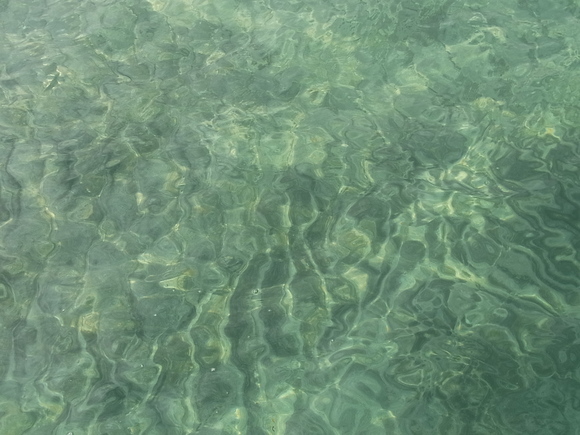 c0142576_14257.jpg