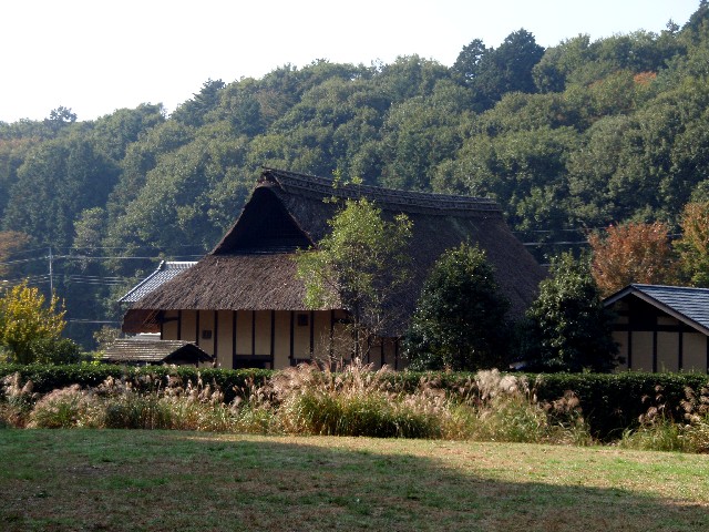 里山民家―秋 : 小さな庭の陽だまりで