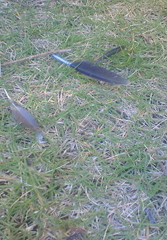 f0215179_95531.jpg
