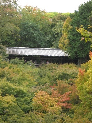 f0122083_18264516.jpg