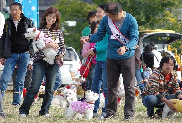 Westie Party！@TACHIKAWA　☆　抱っこでダッシュリレー　☆_f0169884_23424665.jpg