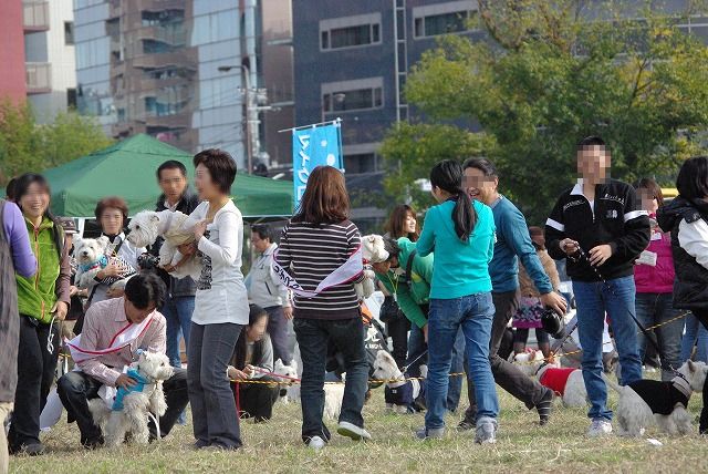 Westie Party！@TACHIKAWA　☆　抱っこでダッシュリレー　☆_f0169884_23561669.jpg