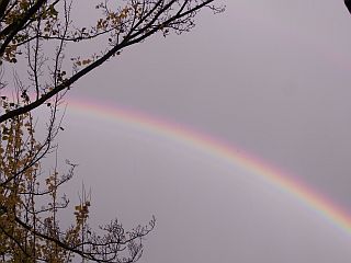 f0169885_17173385.jpg