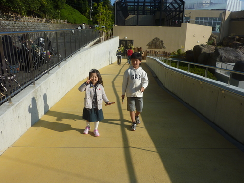 f0176387_121222.jpg