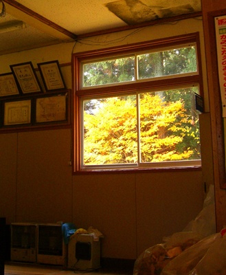 a0138198_1631876.jpg
