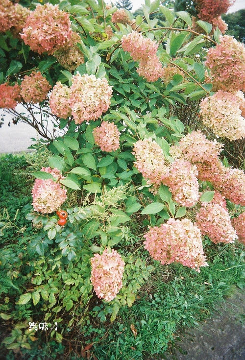 b0199199_1155911.jpg