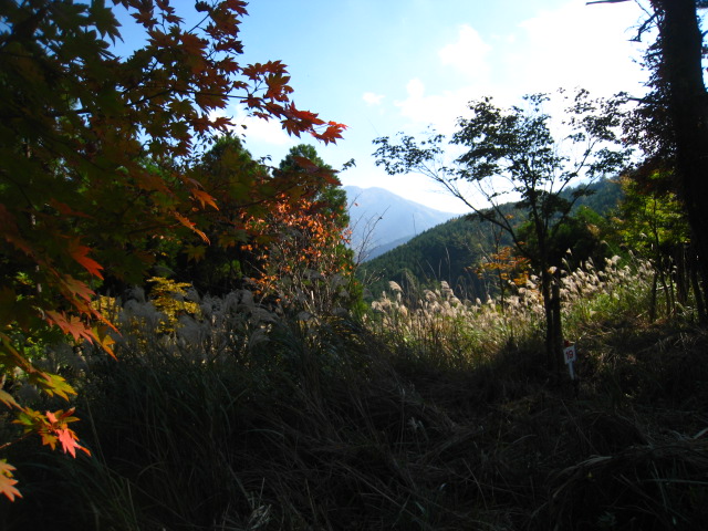 b0172502_10495743.jpg