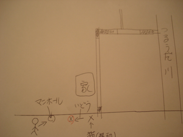 野良猫 救出活動_b0085907_17322814.jpg