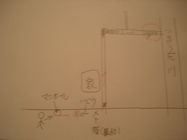野良猫 救出活動_b0085907_17354821.jpg