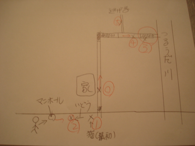 野良猫 救出活動_b0085907_1746304.jpg