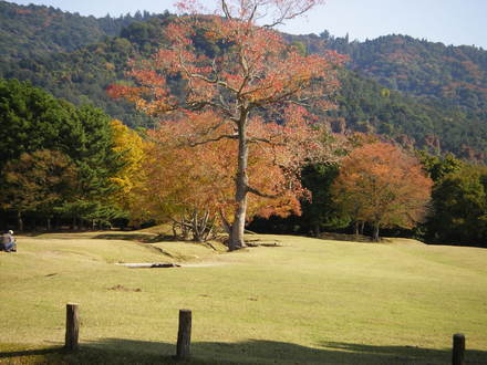 奈良公園散策_b0194908_19241717.jpg