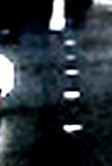 e0103408_16144126.gif