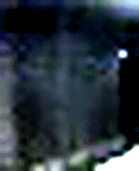 e0103408_16314315.gif