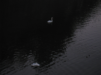 f0033510_8383384.jpg