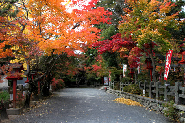 紅葉スタート 亀岡 鍬山神社_e0048413_19501935.jpg