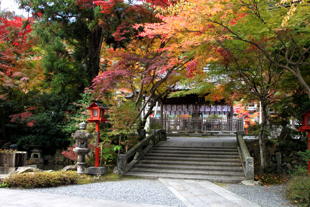 紅葉スタート 亀岡 鍬山神社_e0048413_1951157.jpg