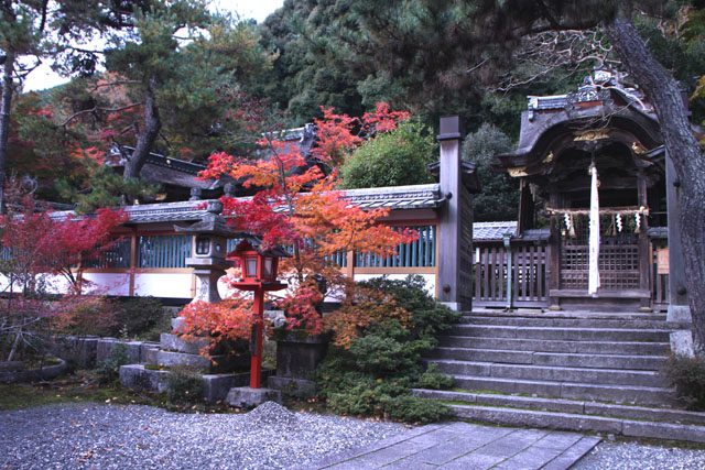 紅葉スタート 亀岡 鍬山神社_e0048413_19511675.jpg