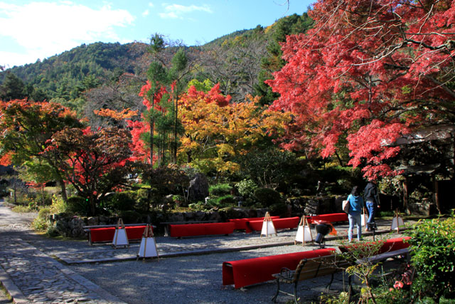 紅葉スタート　亀岡　神蔵寺_e0048413_221611.jpg