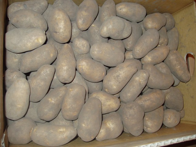 f0185918_8565716.jpg
