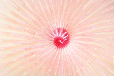 b0158923_045131.jpg