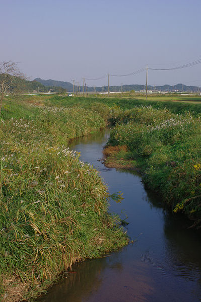 南部町まで、早朝農道ポタリング_f0007926_9552597.jpg