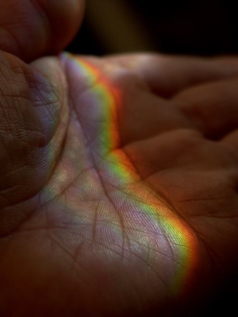 e0044929_1439728.jpg