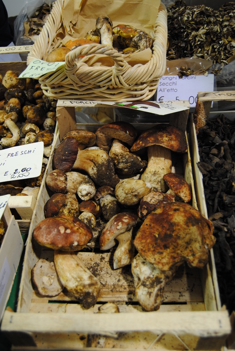 e0203331_4304871.jpg