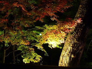 節約_b0209132_8185233.jpg